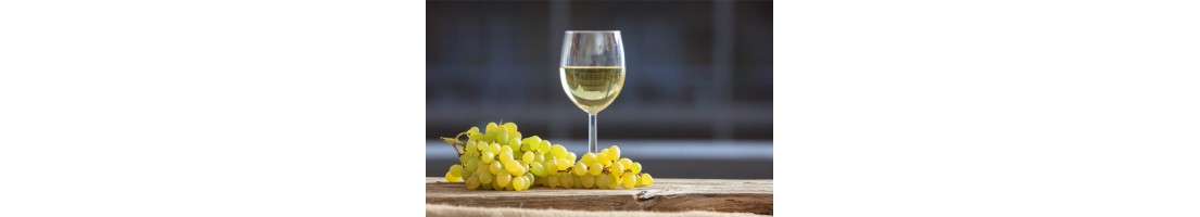 Vino Bianco